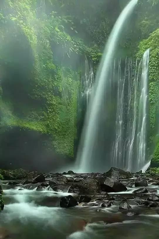 韩愈,逆流而上的文化勇士,披荆斩棘的文学先驱