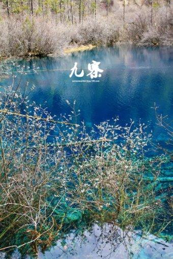 大益普洱茶哪个最好喝？7572吗？游戏画面